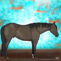 Horse Color:Liver Red Dun 