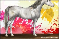 Horse Color:White Spotted Liver Red Onyx Ice Pearl Sabino Rabicano