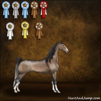 Horse Color:Brown Dun Sabino Appaloosa