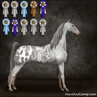 Horse Color:Liver Red Roan Appaloosa 