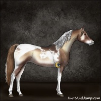 Horse Color:Liver Red Onyx Tobiano Rabicano