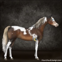 Horse Color:Liver Chestnut Splash Tobiano 