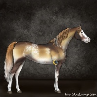 Horse Color:White Spotted Liver Red Onyx Splash Rabicano 