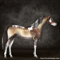 Horse Color:White Spotted Liver Red Onyx Splash  and Liver Red Onyx Tobiano 