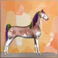 Horse Color:Painted Liver Red Dun Sabino Splash
