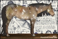 Horse Color:White Spotted Liver Red Dun 