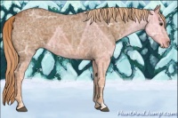 Horse Color:Red Ice Roan 