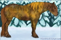 Horse Color:Chestnut Ice