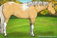 Horse Color:Silver Buckskin Roan Tobiano 