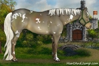 Horse Color:White Spotted Liver Red Dun