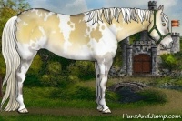 Horse Color:White Spotted Liver Red Dun Onyx 