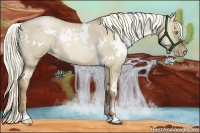 Horse Color:White Spotted Liver Red Dun Pearl