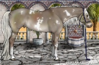 Horse Color:White Spotted Liver Red Dun Rabicano 