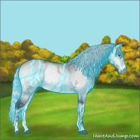 Horse Color:Thunderstruck White Spotted Silver Brown Chinchilla Ice Onyx Rabicano 