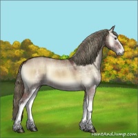 Horse Color:Plaid  White Spotted Liver Red Dun Onyx Sabino 