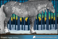 Horse Color:White Spotted Silver Black Chinchilla Sabino 