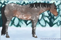 Horse Color:Brown Ice Roan 
