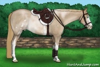 Horse Color:White Spotted Liver Red Roan Pearl