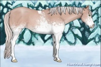 Horse Color:White Spotted Silver Amber Champagne Tobiano 
