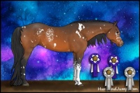 Horse Color:White Spotted Brown 