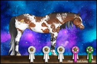 Horse Color:White Spotted Brown 