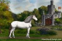 Horse Color:Liver Red Dun Roan Sabino Appaloosa 