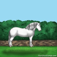 Horse Color:Liver Red Dun Ice Onyx Sabino Splash Rabicano