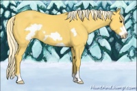 Horse Color:Palomino Frame 