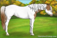 Horse Color:Chestnut Ice Tobiano Frame 