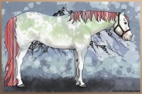 Horse Color:Painted Watercolor White Spotted Liver Red Dun Onyx Rabicano