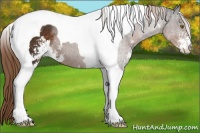 Horse Color:Liver Chestnut Sabino Tobiano Varnish 