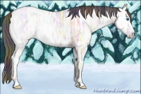 Horse Color:Nacre Bay Ice Dun Splash 