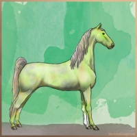 Horse Color:Nacre Watercolor Chocolate Palomino Ice Roan