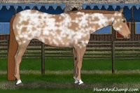 Horse Color:Chestnut Ice 