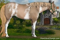 Horse Color:White Spotted Liver Chestnut Pearl
