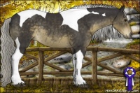 Horse Color:Silver Smoky Black Mushroom Tobiano Rabicano 