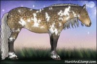 Horse Color:White Spotted Silver Buckskin 