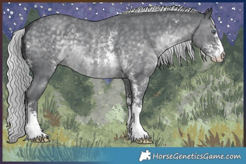 Horse Color:Silver Black Chinchilla Sabino 