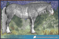 Horse Color:Silver Black Chinchilla Sabino 