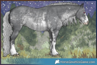 Horse Color:Silver Black Chinchilla Sabino 