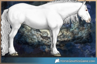 Horse Color:Silver Black Chinchilla Sabino Appaloosa 