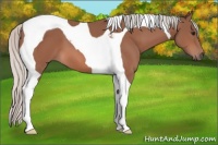Horse Color:Silver Bay Tobiano 