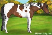 Horse Color:Brown Tobiano