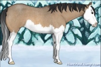 Horse Color:Bay Roan Dun Splash