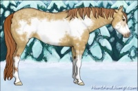 Horse Color:Red Dun Ice Sabino Frame