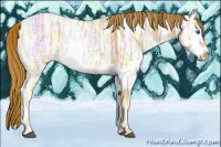 Horse Color:Red Ice Roan Splash 