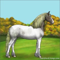 Horse Color:Painted Plaid  Liver Red Dun Ice Sabino Tobiano 