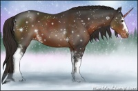 Horse Color:White Spotted Liver Chestnut Sabino Appaloosa
