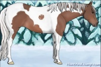 Horse Color:Silver Bay Tobiano