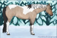 Horse Color:Brown Roan Dun Tobiano